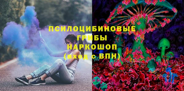 амф Коряжма