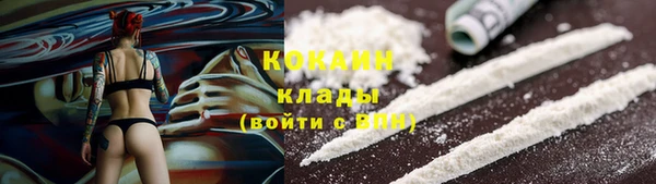 ПСИЛОЦИБИНОВЫЕ ГРИБЫ Корсаков